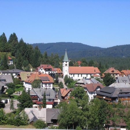 Mellex Fewo Feldberg  Exterior photo